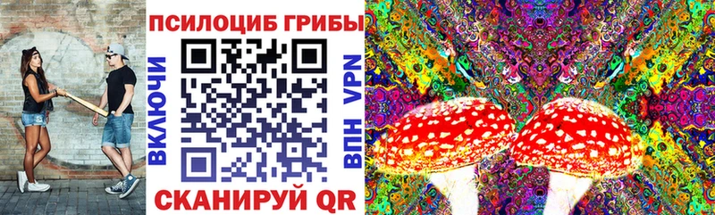 kraken онион  Лакинск  Псилоцибиновые грибы Magic Shrooms  дарнет шоп 